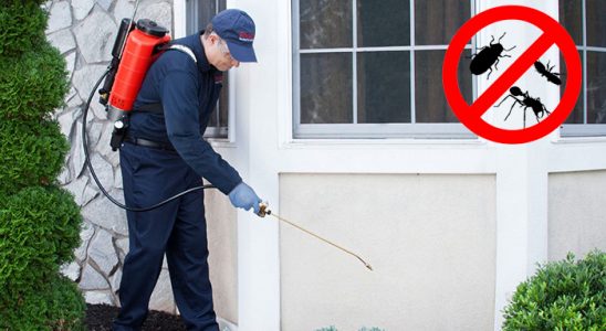 Ulukent Bit İlaçlama böcek ilaçlama ve haşere kontrolü — ilaclama-tr.com